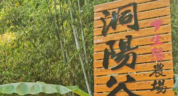 廣有合頁2019踏春拓展--經(jīng)歷中成長，成長中經(jīng)歷?