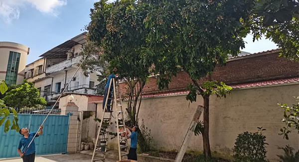 廣有儲(chǔ)良龍眼，詮釋濃情盛夏|廣有五金&東莞合頁(yè)