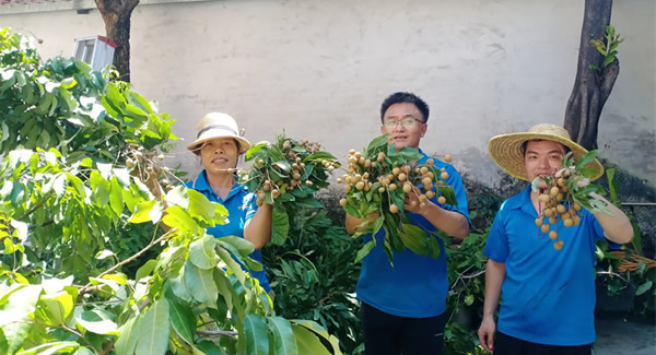 摘一顆龍眼，品一份團(tuán)圓，謝一次饋贈 | 廣有五金&東莞合頁