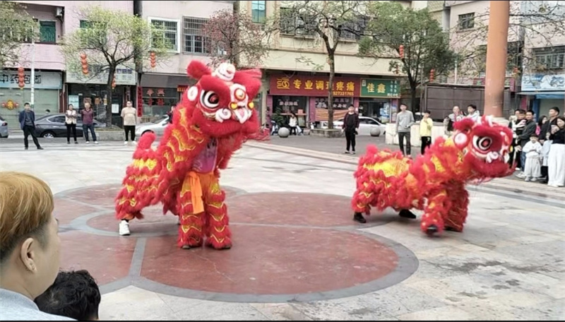 9廣東惠州的年，是醒獅起舞，是祥瑞臨門.jpg
